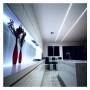 XXLED LED-Streifen 24V |240xLED/m | 5m | SMD2835 | 3000Lm | 30W/M | CRI97 | | IP20| PROFESSIONAL COLOR