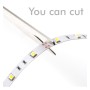 XXLED LED-Streifen 24V |240xLED/m | 5m | SMD2835 | 3000Lm | 30W/M | CRI97 | | IP20| PROFESSIONAL COLOR - technische Ansicht