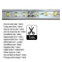 XXLED 10W LED-Streifen - CUSTOM CUT - Dimmbar 220V AC SMD 2835 120 LED/m IP65 - 13mm - Detailansicht