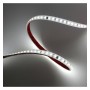 XXLED LED-Streifen 220V | 120xLED/m | 50m | SMD2835 | 800Lm/M | 8W/M | IP65 | Schnitt alle 10 cm - Detailansicht