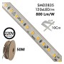 XXLED LED-Streifen 220V | 120xLED/m | 50m | SMD2835 | 800Lm/M | 8W/M | IP65 | Schnitt alle 10 cm - Produktansicht
