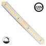 XXLED Bande LED 220V | 280xLED/m | 20m | SMD2025 | 1596Lm/M | 14W/M | IP67 | 10mm | Coupe tous les 5cm - vue technique