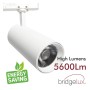 XXLED LED Strahler 40W -34W - NEW MAYA - Weiss - 3-Phasen Schienensystem - CRI+92 - UGR13 - Detailansicht