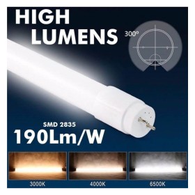 PACK 10stk. LED Röhre Glas - 10W - 60cm T8 - 170 Lm/W - PRO MAX LUMENS - 1700Lm - NO FLICK