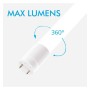 XXLED PACK 10stk. LED Röhre Glas - 25W - 150cm T8 - 170 Lm/W - PRO MAX LUMENS - 4250Lm - NO FLICK