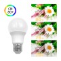 XXLED LED Lampe 9W E27 A60 180º - OSRAM CHIP DURIS E 2835