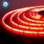 XXLED 5m Bande de LED REN rouge 12V DC étanche IP65