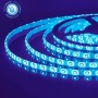 XXLED 5m LED-Streifen REN Blau 12V DC IP65 Wasserdicht