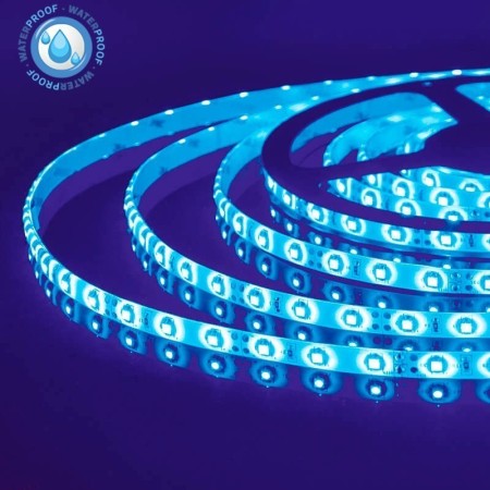 XXLED 5m LED-Streifen REN Blau 12V DC IP65 Wasserdicht