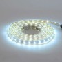 XXLED Bandes LED VOLGA 50m 220-240V 6400K IP65 Étanche