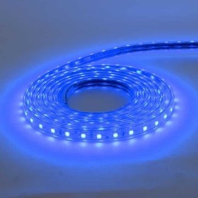 XXLED 50m LED-Streifen VOLGA 220-240V blau IP65 Wasserdicht