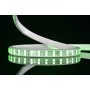 XXLED 50m LED-Streifen COLORADO grün 8W 220-240V IP65 Wasserdicht