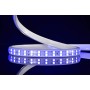 XXLED Bandes LED COLORADO bleues 50m 9W 220-240V IP65 Étanche