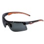 COFRA Schutz-Brillen LIGHTNING POLAR (1 Box: 10 Brillen)