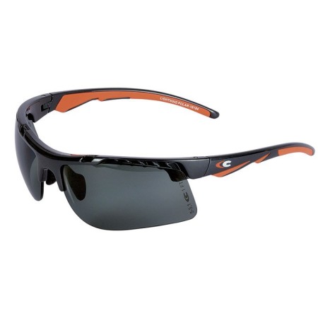 COFRA Schutz-Brillen LIGHTNING POLAR (1 Box: 10 Brillen)