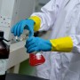 COFRA 144paar Chemikalienschutz-Arbeitshandschuhe, Doppelbeschichtung aus Polychloropren über Naturlatex - Detailansicht