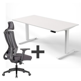 Wolfstahl SET : Steh-Sitz Schreibtisch ERGO + ERGO Bürostuhl