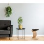 Mayer Hocker monERCOLINO anthracite - vue technique