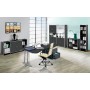 Kerkmann Scrivania Lago a L, struttura con gambe a C cromate, 195 x 80/100 - immagine prodotto