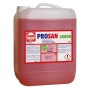 Pramol Prosan Lemon Sanitärreiniger 1 Bidon