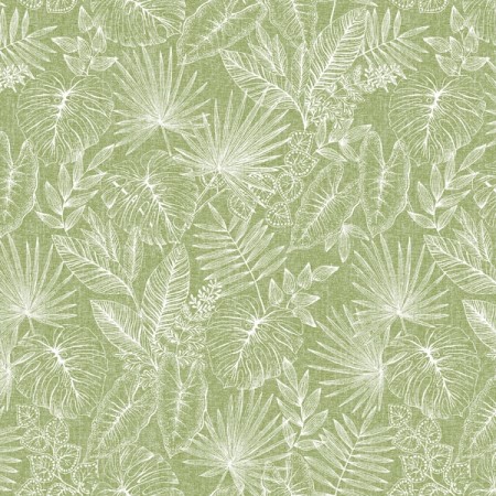 Tovaglie Mank Linclass-Premium 60 pezzi (3 x 20)