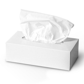 Webstar Kosmetiktuch neutral 25 Boxen