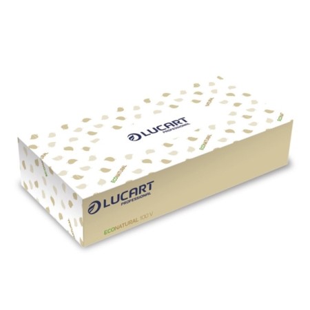 Lucart EcoNatural 100 V Standard Fazzoletti di Carta 40 Scatole