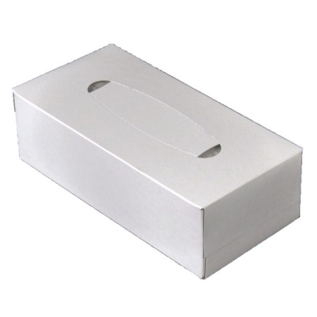 Webstar Kosmetiktuch neutral 25 Boxen