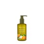 ADA Cosmetics Hand & Body Lotion, 12 Flaschen