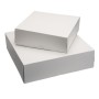 Webstar Scatole per torte 50 pezzi