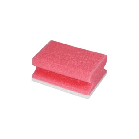 Webstar Éponges d'entretien CLEAN and CLEVER petites 10 pièces