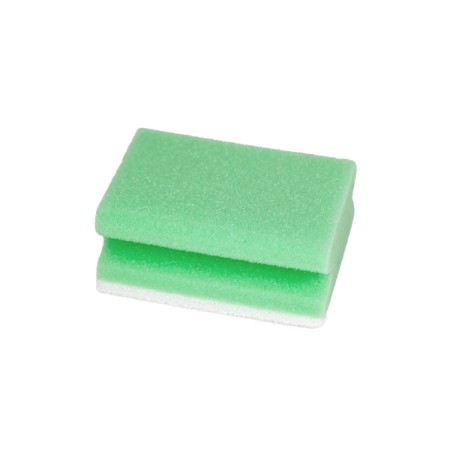 Webstar Éponge d'entretien CLEAN and CLEVER petite 10 pièces