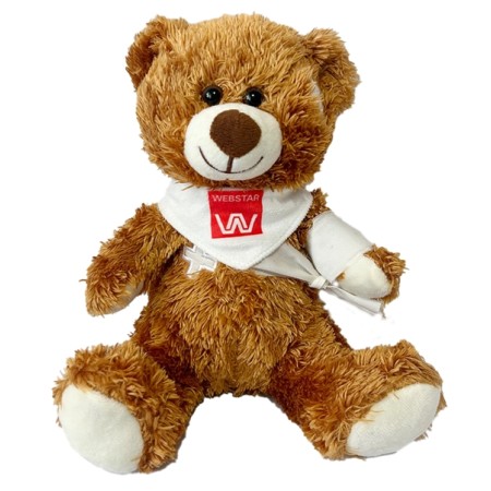 intern WEBSTAR Ours en peluche Health Care 1 pièce