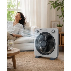 Ventilateur box 45 W hélice de 12 pouces avec minuterie