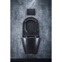 WC mural sans bride LAUFEN Kartell, SilentFlush, EasyFit