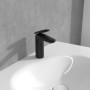 Rubinetto monocomando per lavabo Antao Villeroy & Boch con scarico Push-Open