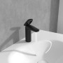 Rubinetto monocomando per lavabo Antao Villeroy & Boch con scarico Push-Open
