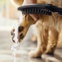 hansgrohe DogShower Pomme de douche pour chien 150 3 modes de jets Select - vue détaillée