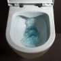LAUFEN PRO Wand-WC Tiefspüler ohne Spülrand - Detailansicht