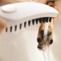 Pomme de douche pour chien hansgrohe DogShower 150 3 modes de jet Select - vue technique
