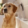 Pomme de douche pour chien hansgrohe DogShower 150 3 modes de jet Select - vue détaillée