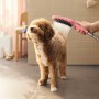 hansgrohe DogShower Pomme de douche pour chien 150 3 modes de jet Select - vue détaillée