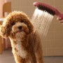 hansgrohe DogShower Pomme de douche pour chien 150 3 modes de jet Select - vue technique