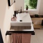 hansgrohe Xanuia Q Lavabo d'appoggio satinato 600/480 con foro per rubinetto e troppopieno - immagine prodotto