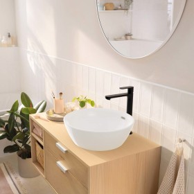Rubinetto monocomando per lavabo hansgrohe Rebris S 240 CoolStart risparmio idrico+ per lavabi con scarico a tirante