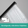 Douchette à main hansgrohe Pulsify S 1 jet EcoSmart+ - vue détaillée