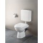 Geberit Renova WC sur pied à chasse d'eau horizontale, sans rebord de rinçage Rimfree - vue détaillée