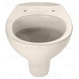 Duravit Duraplus Hornberg WC sospeso - vista dettagliata