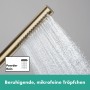 hansgrohe Pulsify S Stabhandbrause 1 Strahlart EcoSmart - Detailansicht