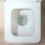Set WC sospeso hansgrohe EluPura Q 540 AquaFall Flush con sedile WC SoftClose e QuickRelease - vista dettagliata